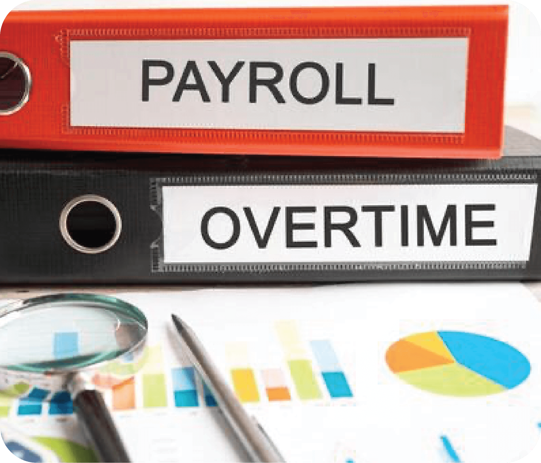 Competitive salary & bonuses