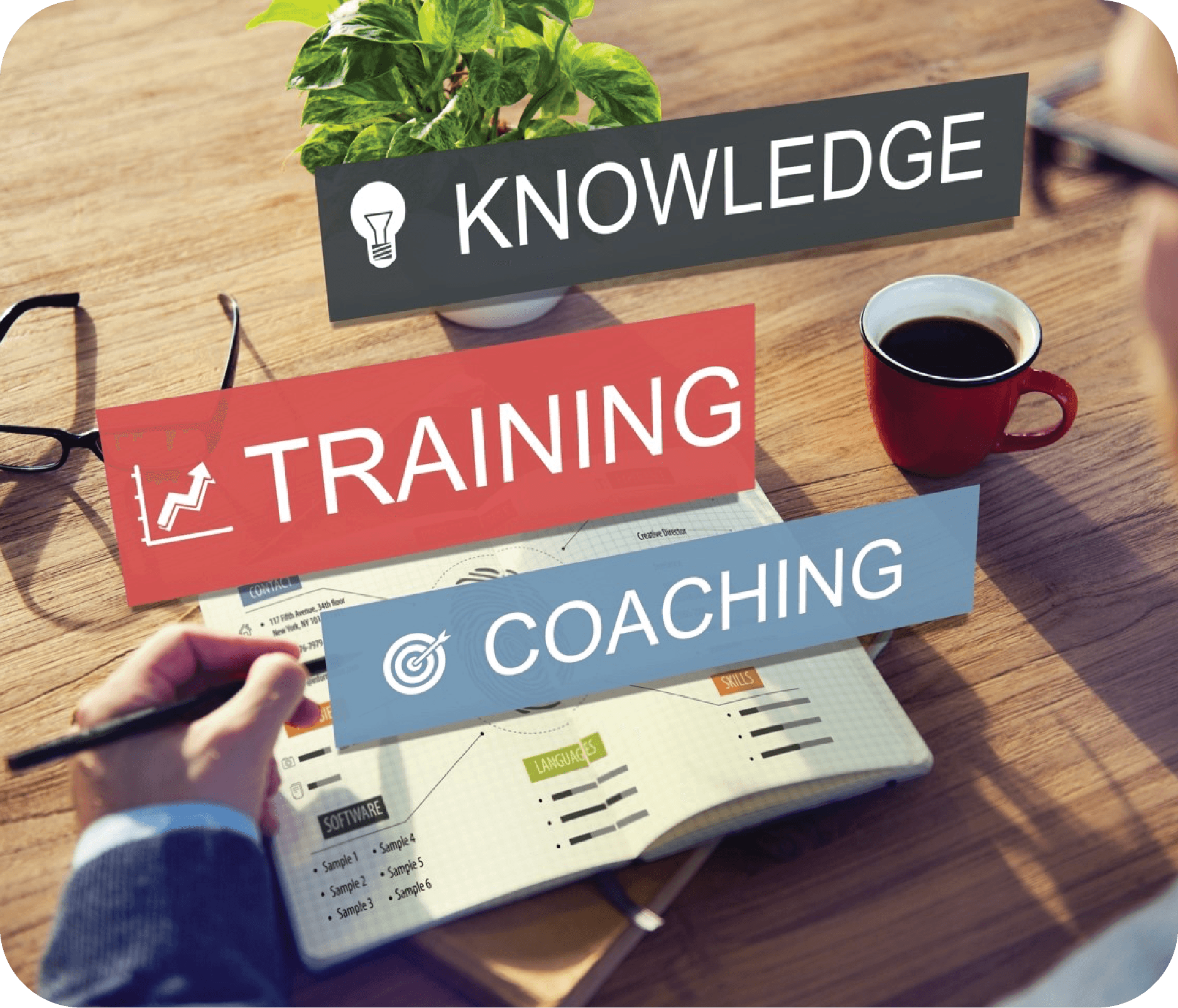 Training & career growth